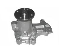 DOLZ H218 Pompa acqua