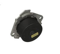 Pompa acqua HEPU P1012 per FIAT COUPE (175_) 1.8 1996-2000