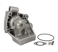 Pompa acqua HEPU P1042 per FIAT DUCATO Autobus (230_) 2.5 1994-2002