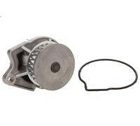 Pompa acqua INA 538 0033 10 VW POLO (6N2) 1 1999-2001