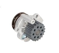Pompa acqua INA 538 0060 1 per AUDI A3 (8P1) 2 2003-2012