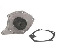 INA 538 0373 10 Pompa acqua