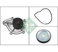 Pompa acqua INA 538 0466 30 per PEUGEOT RCZ 1.6 2011-2015