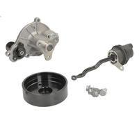 Pompa acqua INA 538 1005 10 per BMW 1 (F20) 2 2016-2019