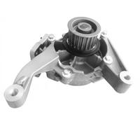 DOLZ J206 Pompa acqua