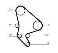 Pompa acqua + Kit cinghie dentate CONTINENTAL CT1037WP1 per CITROËN FIAT LANCIA