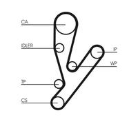 Kit distribuzione + pompa acqua CT1148WP1 CONTINENTAL CTAM per IVECO FIAT