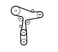 Pompa acqua + Kit cinghie dentate CONTINENTAL CT1168WP8PRO per AUDI MAN SEAT SKO