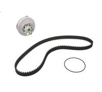 Pompa acqua + Kit cinghie dentate CONTITECH CT720WP1 per OMEGA A (V87) 2 1990-