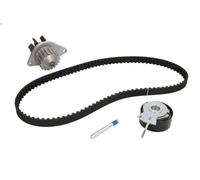 Pompa acqua + Kit cinghie dentate DAYCO KTBWP3370 per C3 II (SC_) 1.1 2010-2016