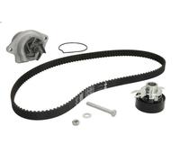 Pompa acqua + Kit cinghie dentate INA 530 0166 31 per VW POLO (6N2) 1 1999-2001