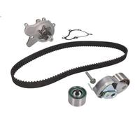 Pompa acqua + Kit cinghie dentate INA 530 0542 30 per HIGHWAY VAN 2 2001-2004