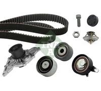 Pompa acqua + Kit cinghie dentate INA 530041631 compatibile con AUDI SEAT SKODA