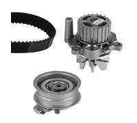 Pompa acqua kit cinghie dentate METELLI 30-0947-1 per VW NEW BEETLE 2.0 (CW4W)