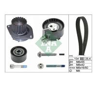 INA 530 0379 30 Kit cinghia distribuzione pompa acqua N° denti: 19 30 mm