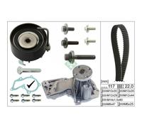 INA 530 0495 30 Kit cinghia distribuzione, pompa acqua