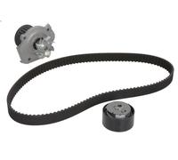 Pompa acqua + Kit cinghie dentate SKF VKMC 02204-1 per Y (840_) 1.2 1997-