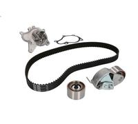 Pompa acqua + Kit cinghie dentate SKF VKMC 95660-3 per TRAJET (FO) 2 2001-2008