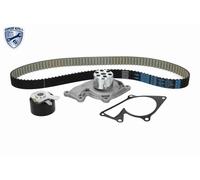 Pompa acqua kit cinghie dentate VAICO 1172mm - V46-50029 per RENAULT SCÉNIC 1.5