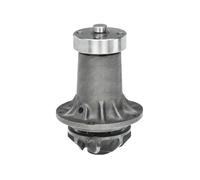 DOLZ M183 Pompa acqua
