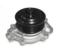 DOLZ M230 Pompa acqua