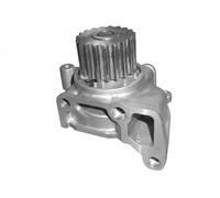 DOLZ M244 Pompa acqua