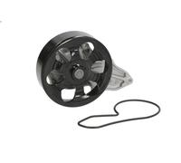 Pompa acqua MAGNETI MARELLI 352316170459 per HONDA FR-V (BE) 2 2005-2006