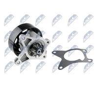 Pompa acqua meccanico CPW-NS-086 NTY per PORSCHE RENAULT NISSAN