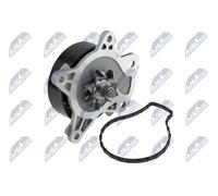 NTY CPW-TY-095 Pompa acqua