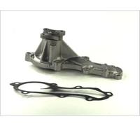 Pompa acqua meccanico D11069TT THERMOTEC per NISSAN ALMERA TINO ALMERA II