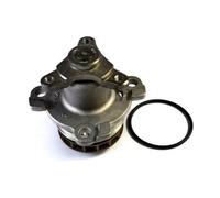 Pompa dell'acqua THERMOTEC D11081TT