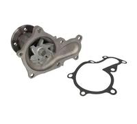 Pompa dell'acqua THERMOTEC D12043TT
