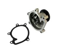Pompa dell'acqua THERMOTEC D12074TT