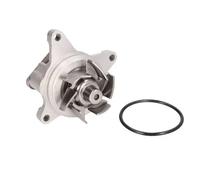 Pompa dell'acqua THERMOTEC D13038TT