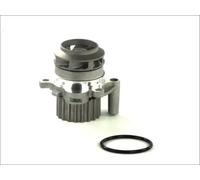 Pompa acqua meccanico D1A023TT THERMOTEC per AUDI SEAT VW SKODA