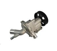 Pompa dell'acqua THERMOTEC D1B029TT