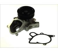 Pompa acqua meccanico D1B031TT THERMOTEC per BMW 3 Coupé 3 5 Touring X3 5 1 X6 6