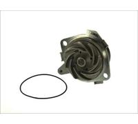 Pompa dell'acqua THERMOTEC D1D018TT