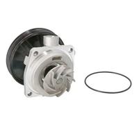 Pompa acqua meccanico D1F065TT THERMOTEC per FIAT PALIO ALBEA