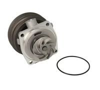 Thermotec Pompa dell'acqua D1F070TT per FIAT Brava 1.6 (1995-2001)