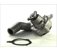 Pompa acqua meccanico D1G039TT THERMOTEC per FORD MAZDA