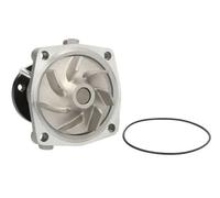 Thermotec Pompa acqua D1G042TT meccanica per Rover, Chrysler, Jeep, Ford, Opel
