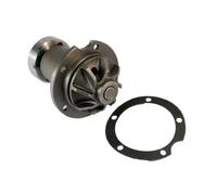 Pompa dell'acqua THERMOTEC D1M006TT