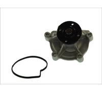 Pompa acqua meccanico D1M045TT THERMOTEC per MERCEDES-BENZ CLASSE A VANEO