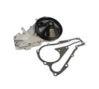 Pompa acqua meccanico D1R018TT THERMOTEC per RENAULT 11 19 I 19 II Chamade 9 5
