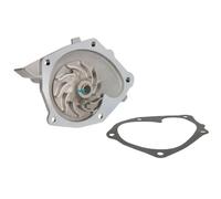 Pompa dell'acqua THERMOTEC D1R036TT