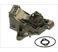Thermotec Pompa dell'acqua D1R042TT per Nissan, Opel, Renault
