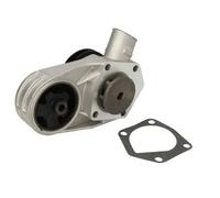 Pompa dell'acqua THERMOTEC D1S002TT