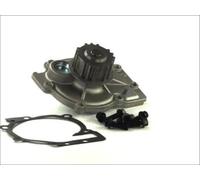 Pompa dell'acqua THERMOTEC D1V013TT