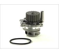 Pompa acqua meccanico D1W028TT THERMOTEC per AUDI SKODA VW SEAT